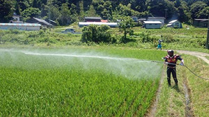 Illustration for article titled In Japan, There's a Superhero Who...Plants Rice